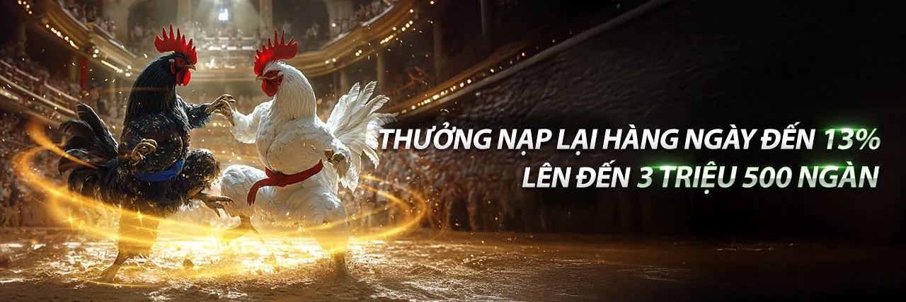 Đá gà trực tuyến trên ứng dụng i9bet141